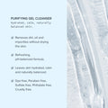 Alumier Purifying Gel Cleanser