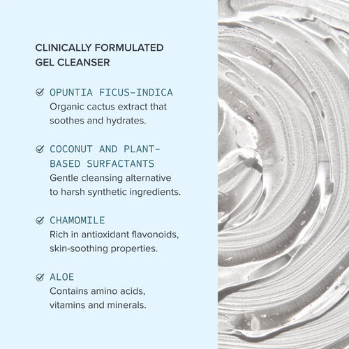 Alumier Purifying Gel Cleanser