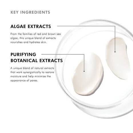 Skin Ceuticals Daily Moisture
